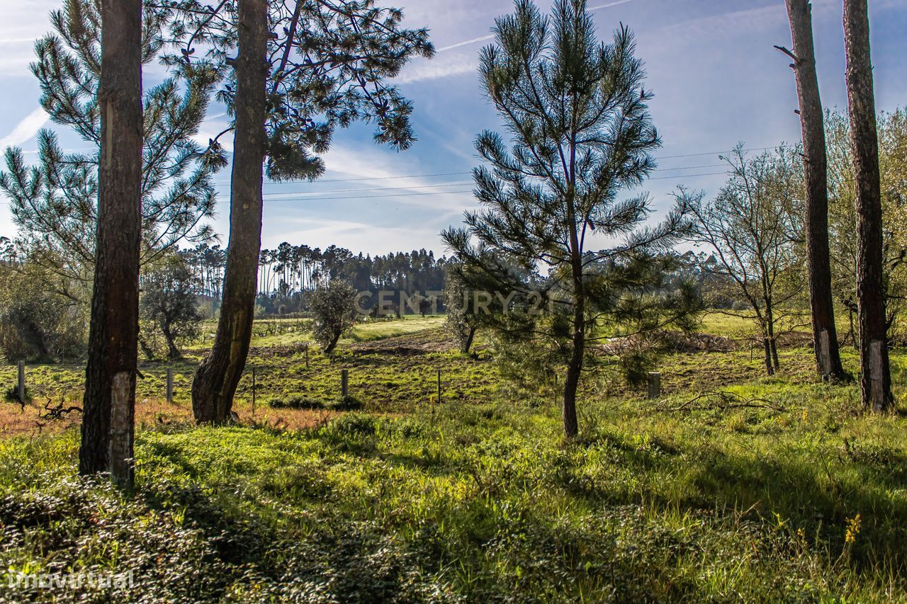 Terreno | 440m2 | Regueira de Pontes | Leiria