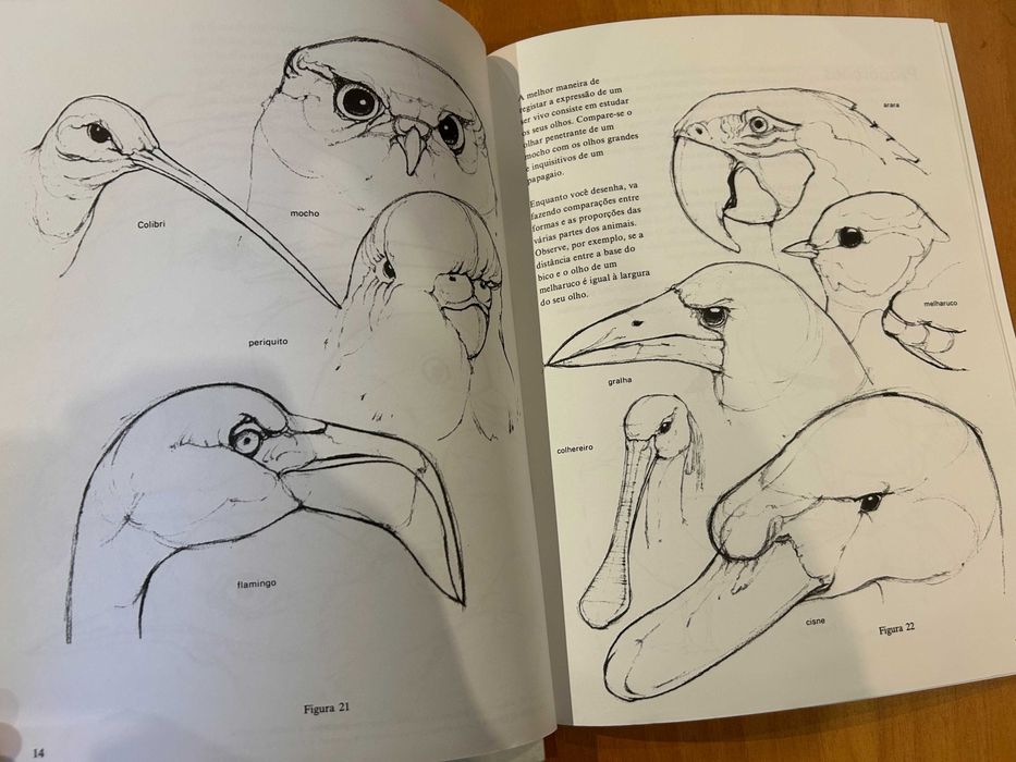 Como desenhar Animais de Criação E Como desenher Aves