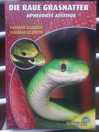 Książka wąż trawny opheodrys aestivus