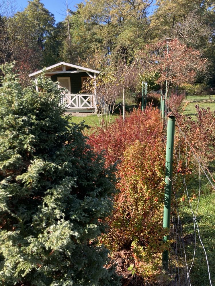 Działka ROD, ogródek działkowy
