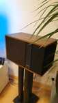 Kolumny Bose 301 s2