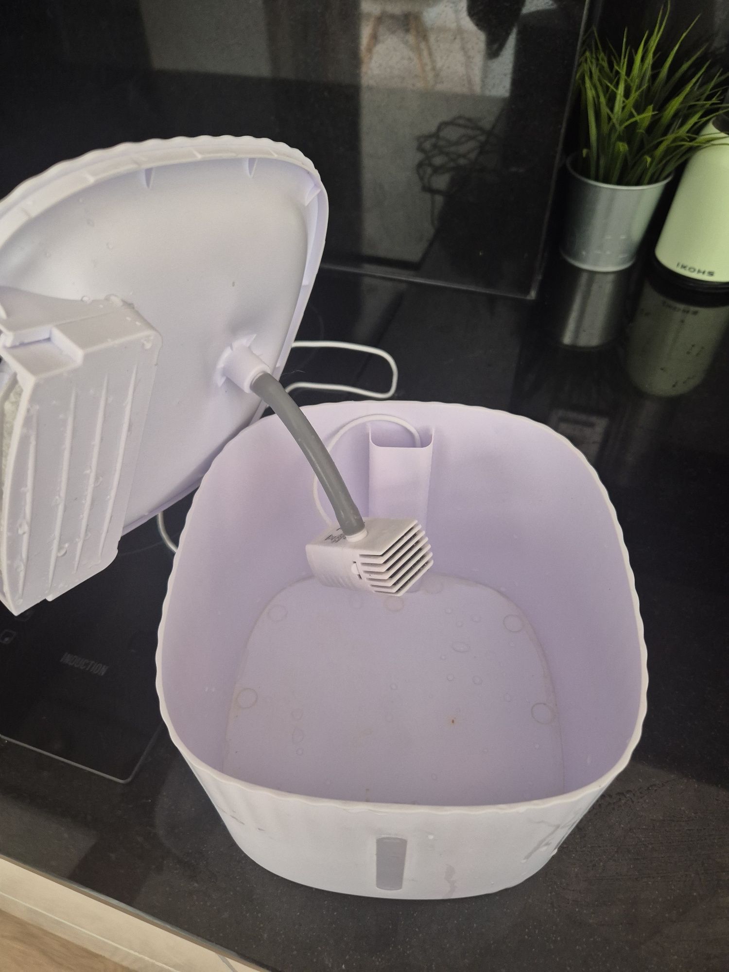 Fonte de água para animais