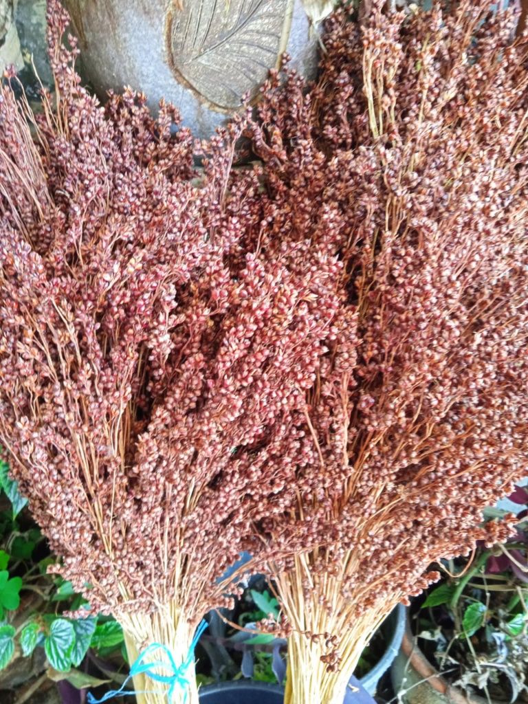 Vendo flores naturais secas, aguentam um ano inteiro.
