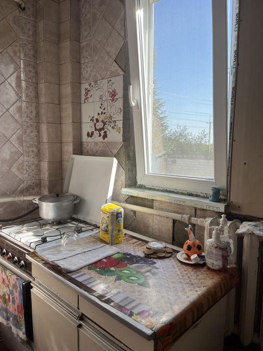 Продам дуже гарний та затишній  будинок у Новій Водолазі