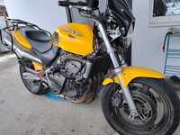 Honda CB 600 hornet