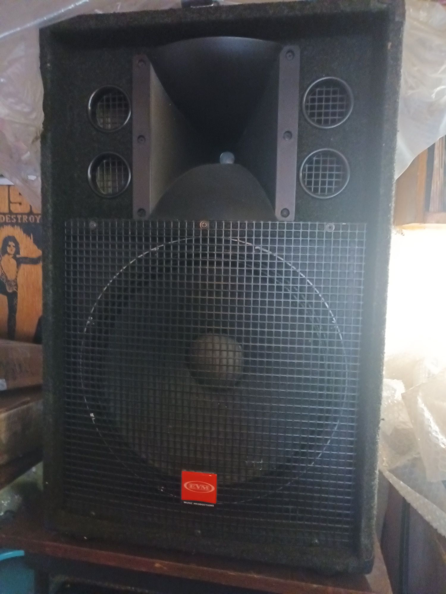 Комплект: Колонки EVM (750Вт) 2 шт., усилитель PARK VX700.