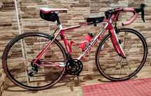 Bicicleta de estrada, Focus