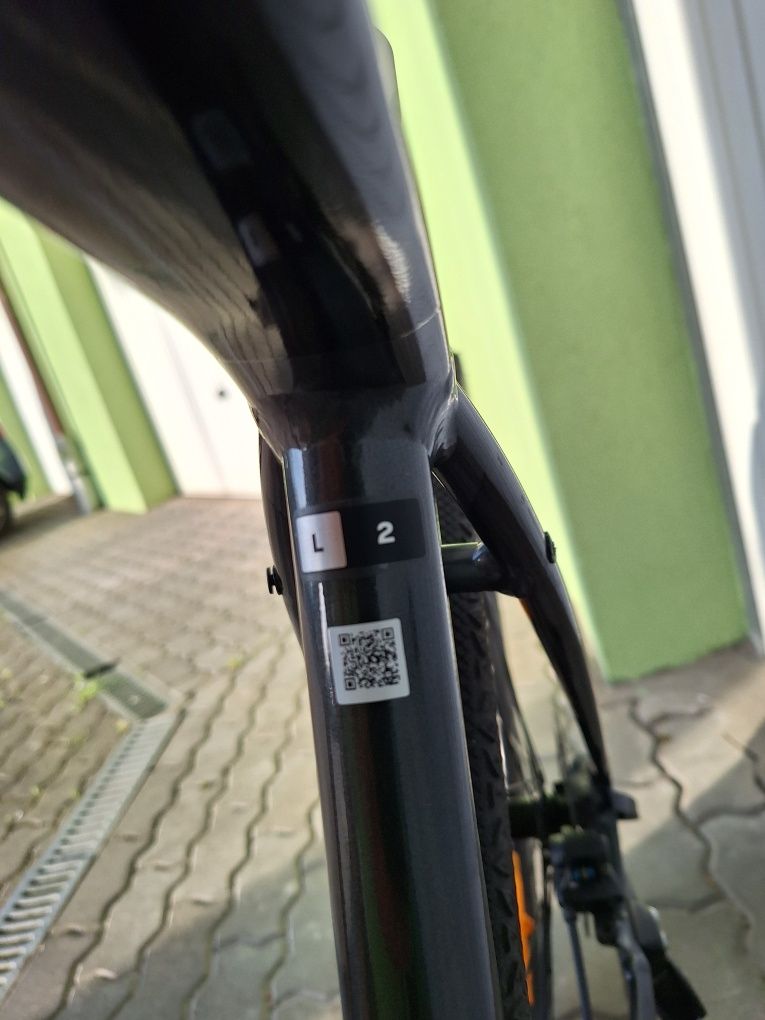 GIANT Roam 2, rama L