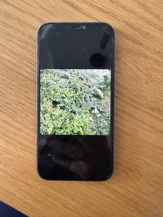 Iphone 12 64gb niebieski