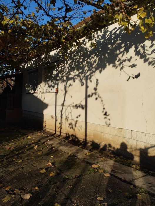 Продам дом Закарпатье ВелыкиБереги