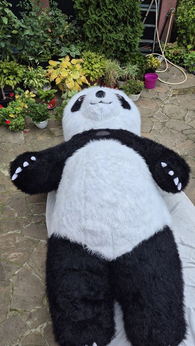 Панда купить пневмокостюм медведя, мишка панда  аниматор купить