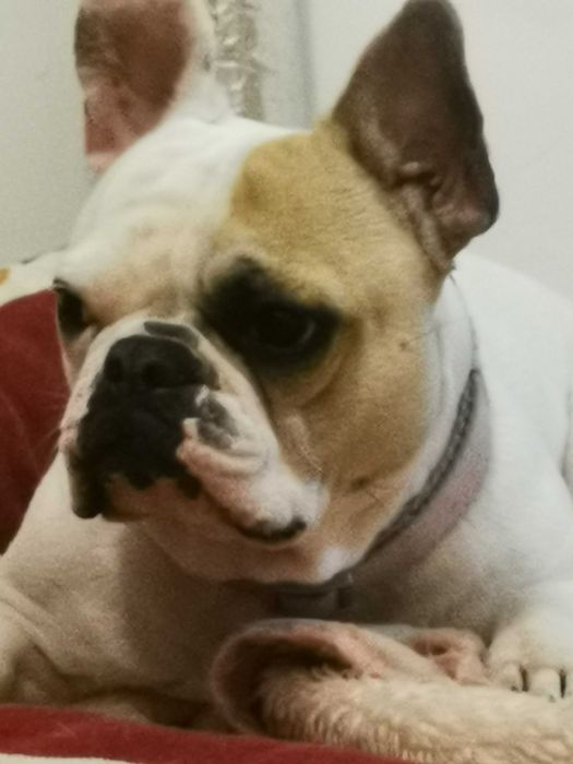 Doação Por motivos de saúde da dona..