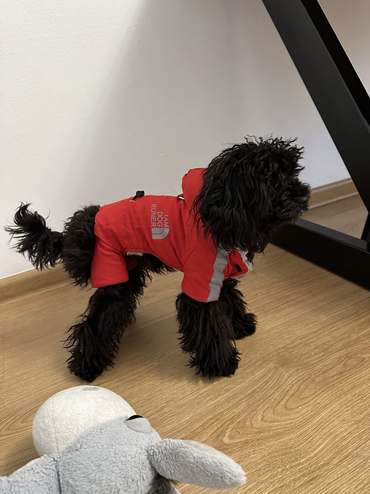 Комбінезон куртка для собак