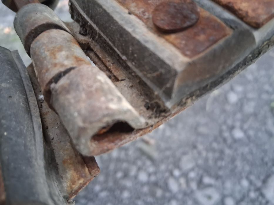 Oddzielacz porostu dzielony.Taśma ostatnia.