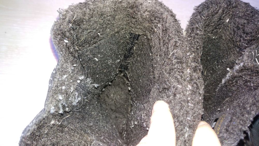 Зимние сапоги ecco, 21 см стелька