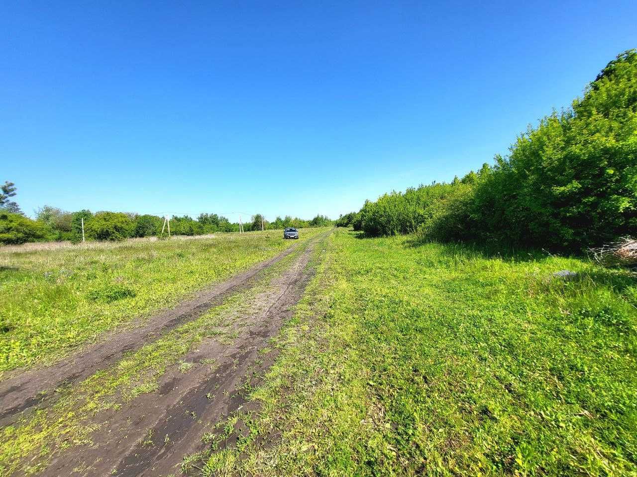 Ділянка 13.16 сотих для будівництва. 3000$. Дядьковичі