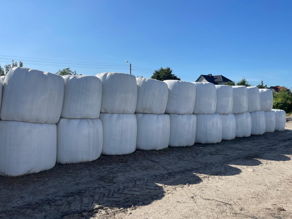 Siano sianokiszonka 2025