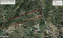 Quinta com 2,225 ha em Mora - Alto Alentejo