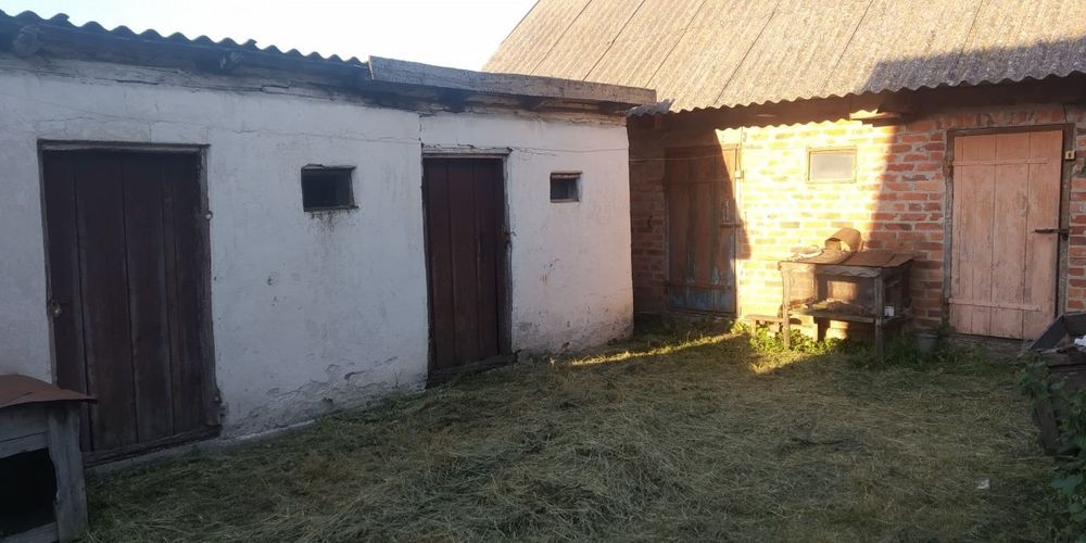 Продам будинок в селі Бабушки