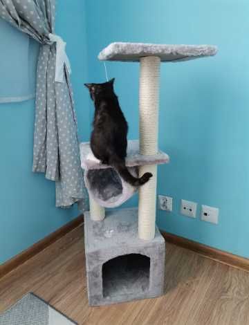 Кутова кігтеточка для кота