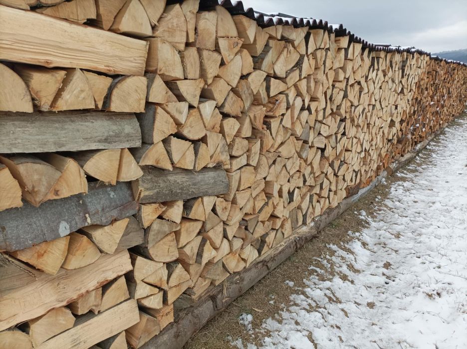 Drewno kominkowe Buk