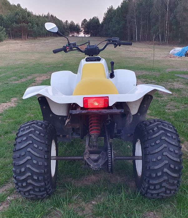 Quad Polaris trailblazer 250
