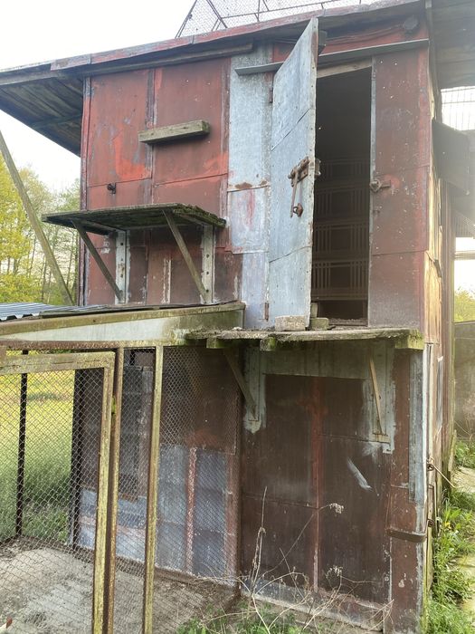 Oddam gołębnik za darmo