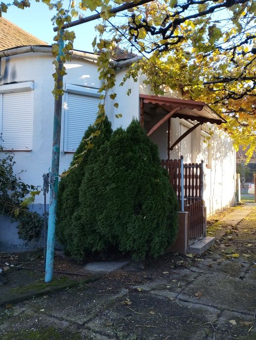 Продам дом Закарпатье ВелыкиБереги