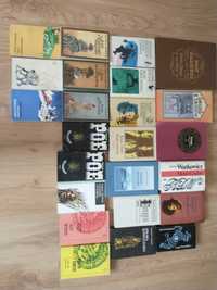 20 książek  Baltazar gąbka, Kipling, Poe, pan Tadeusz