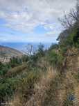 Terreno em Água de Pena de 10100,00 m2