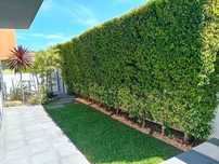 Serviços de jardinagem