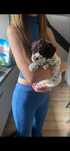 Pies Lagotto Romagnolo ZKwP FCI