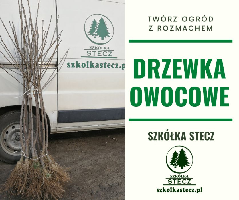 Brzoskwinia - różne odmiany