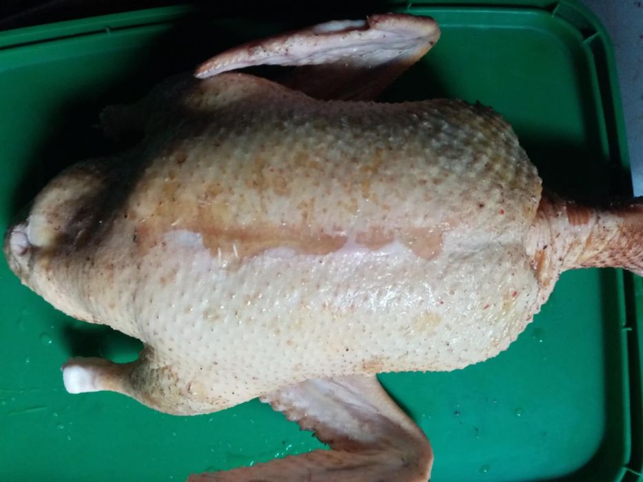 Sprzedam gęsi kaczki indyki