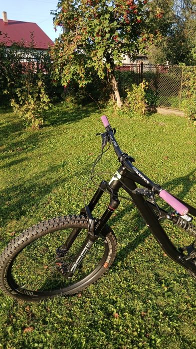 Rose Soul Fire 2023 L