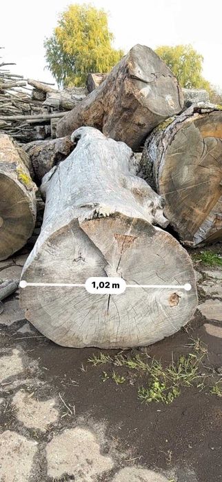 Sprzedam kłody dębu