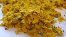 Forsycja( Forsythia Vahl) kwiat suszony 10 g