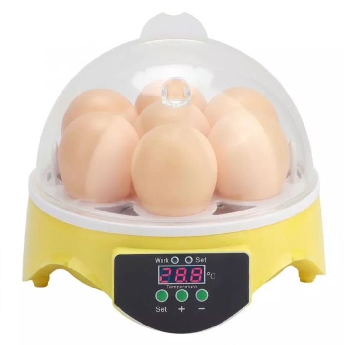 Інкубатор для курячих яєць
