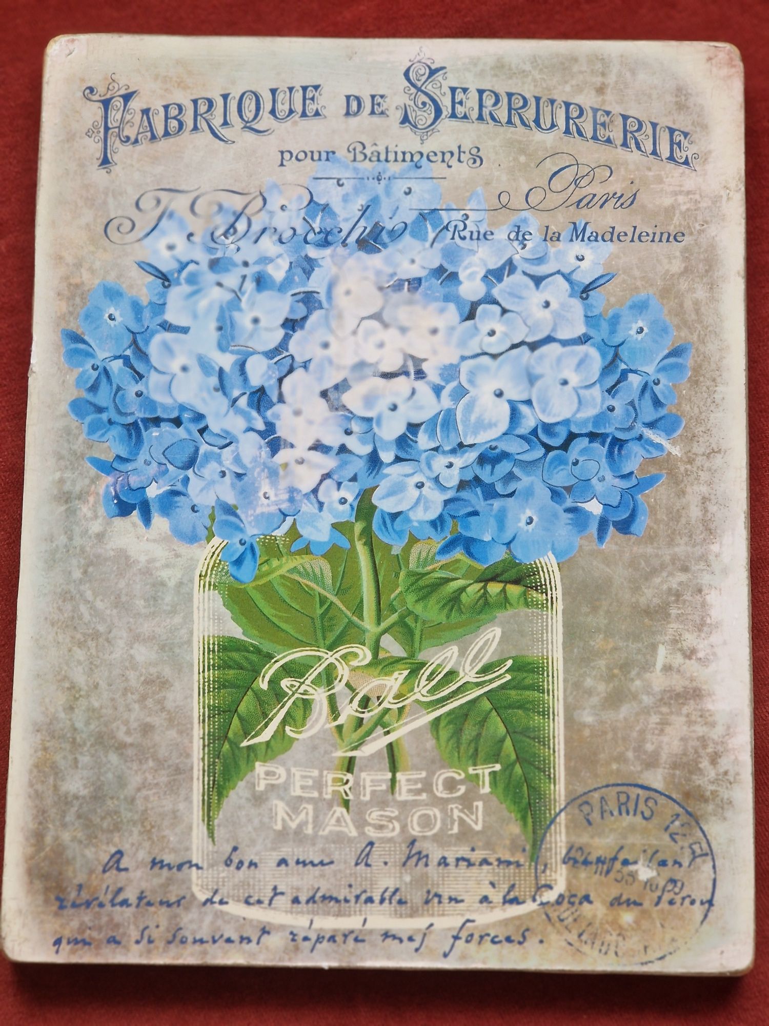 Hortensja- Plakat - Obrazek