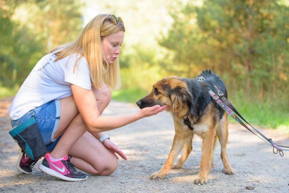 Młodziutka łagodna długowłosa sunia w typie ON - adoptuj Chikitę
