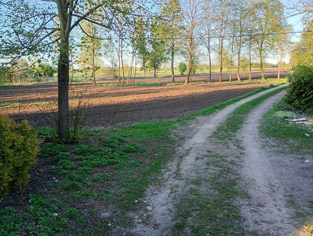 Gospodarstwo rolne dom, budynki, ziemia 14 ha