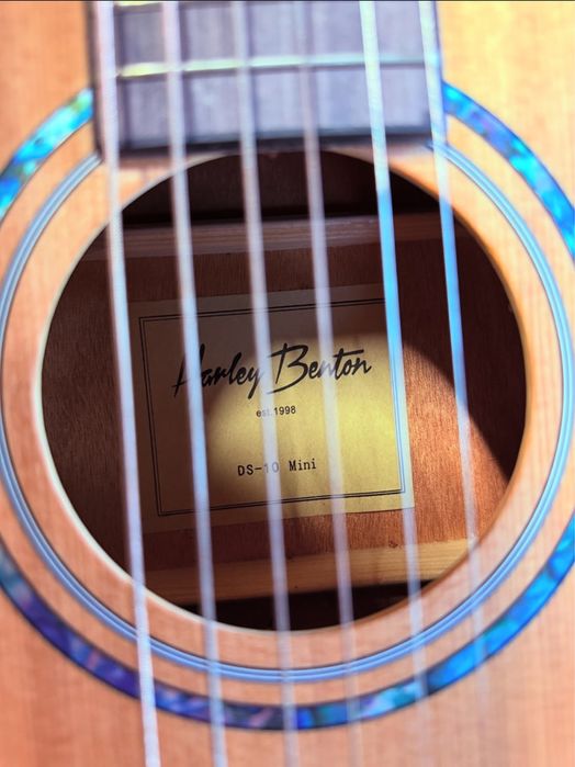 Guitarra Ds10 Mini