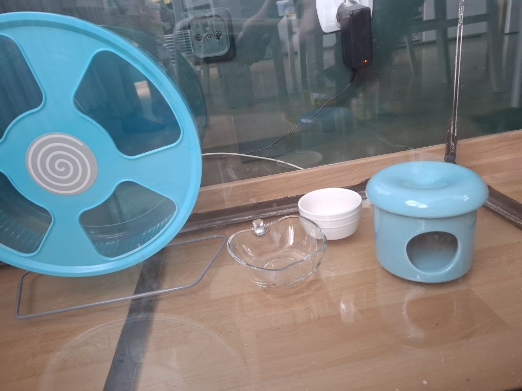 Akwarium terrarium dla chomika