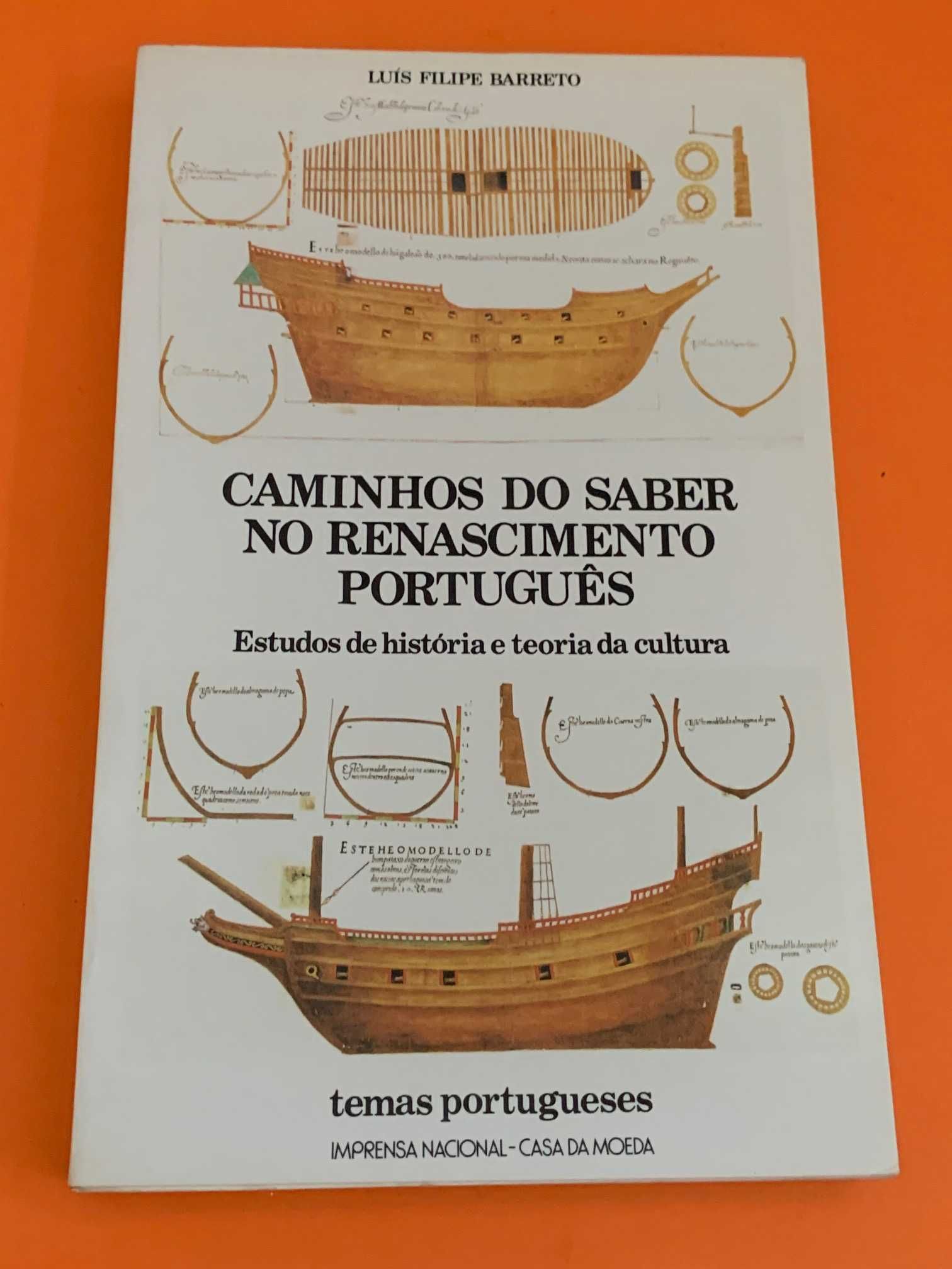 Caminhos do saber no renascimento português - Luís Filipe Barreto