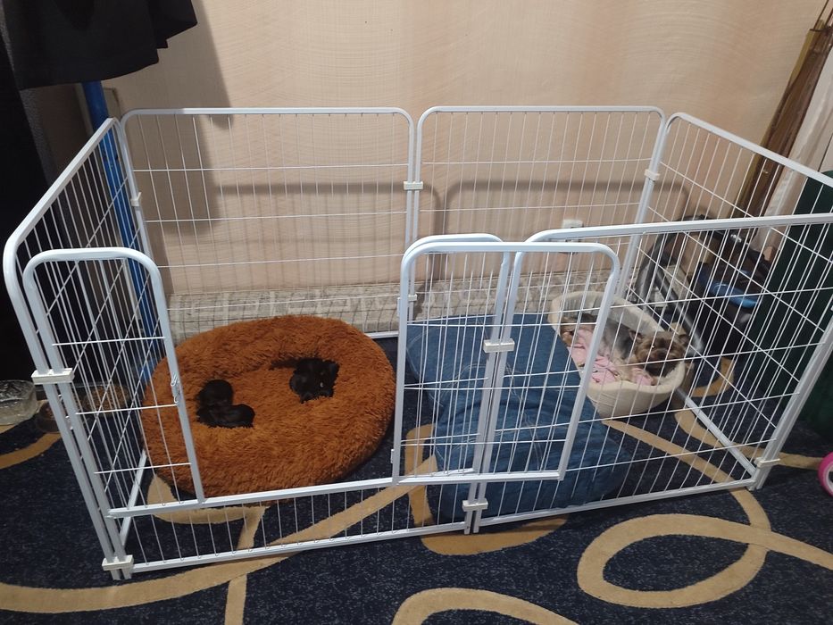 Продам манеж, загородку для собак, щенков