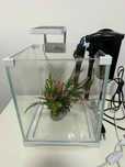 Akwarium 10l + akcesoria