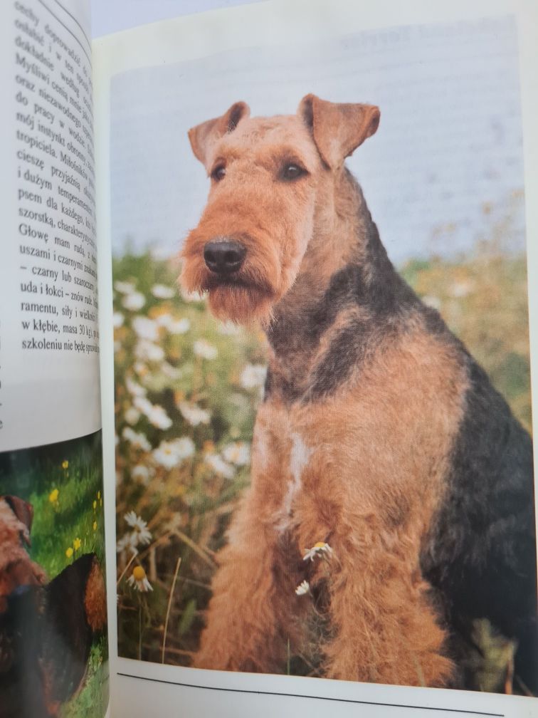 Ja pies - Książka