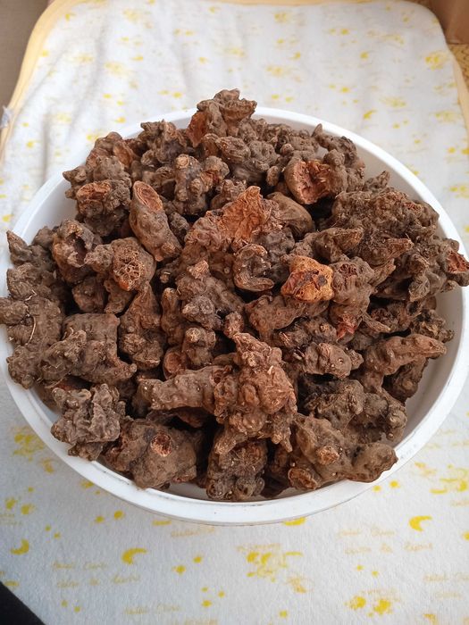 Корінь калгану сушений