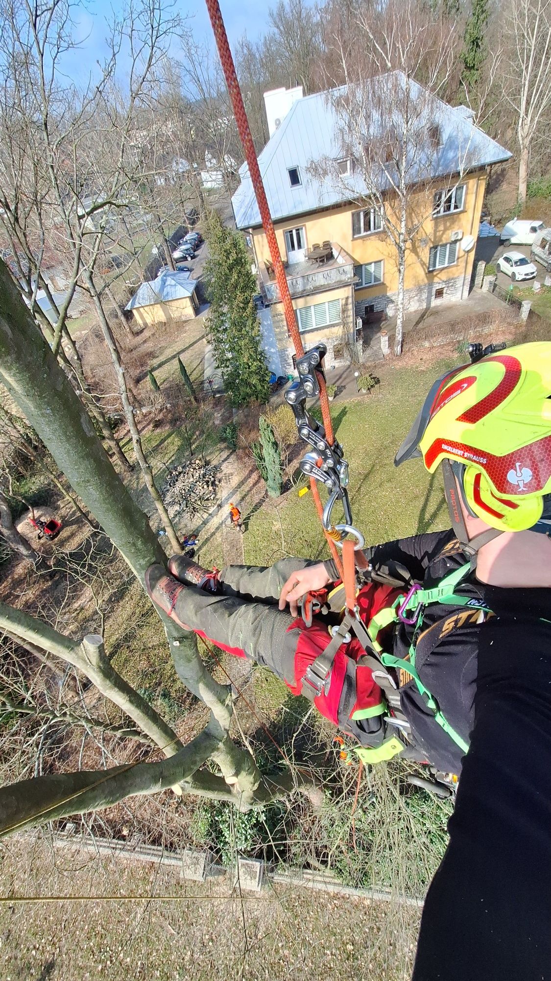 Alpinistyczna wycinka trudnych drzew Drwal wysokościowy Rębak