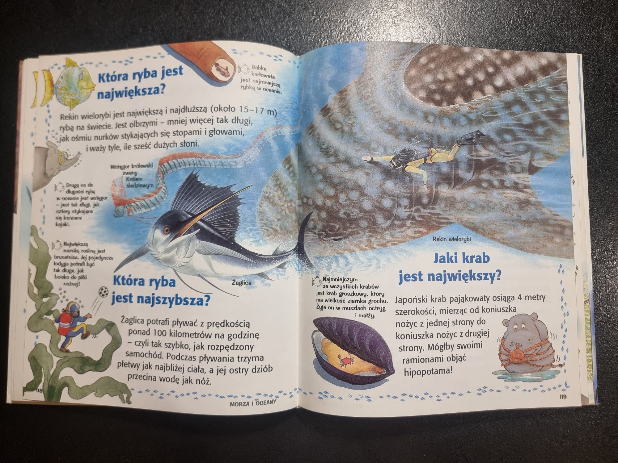 Ciekawe dlaczego encyklopedia przyrody